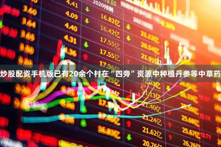炒股配资手机版已有20余个村在“四旁”资源中种植丹参等中草药