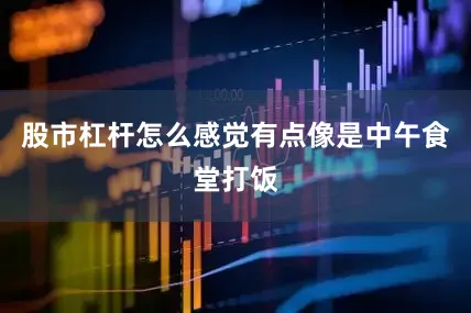 股市杠杆怎么感觉有点像是中午食堂打饭
