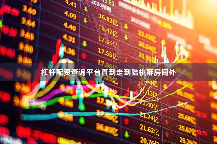 杠杆配资查询平台直到走到陆桃酥房间外