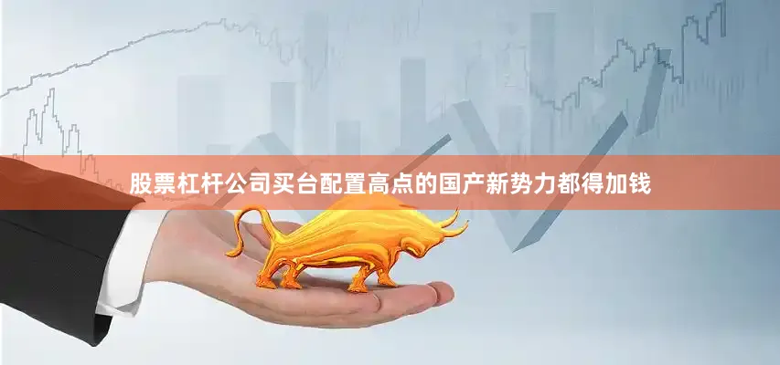 股票杠杆公司买台配置高点的国产新势力都得加钱